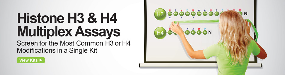 Histone PTM Multiplex